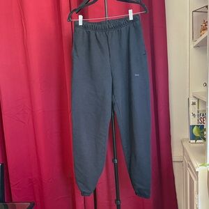 Aritzia TNA ExtraAF fleece sweat pant